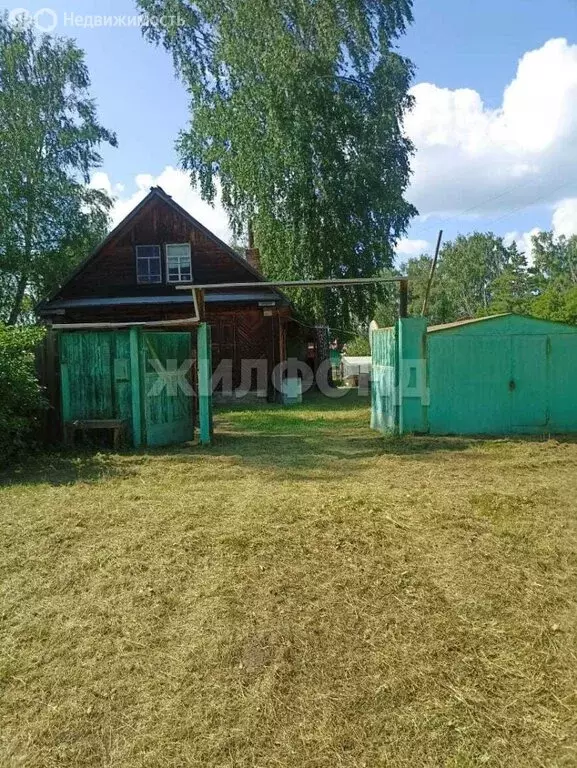 Дом в Ордынский район, деревня Ерестная, Боровая улица (35 м) - Фото 0