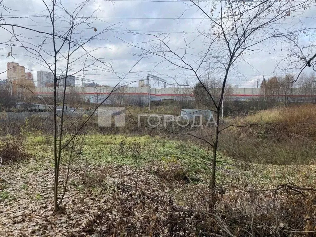 Участок в Московская область, Одинцово Сельскохозяйственный ДСК, 242 ... - Фото 1