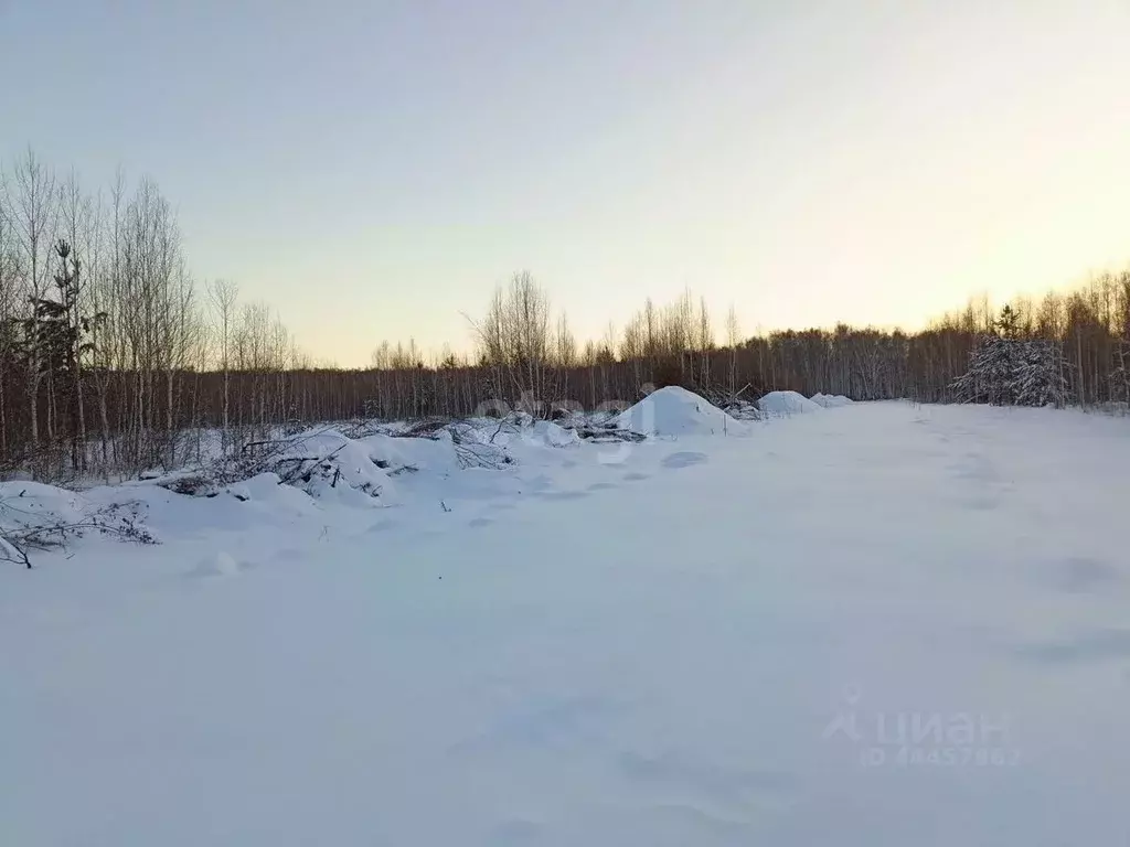 Участок в Челябинская область, Сосновский район, с. Кременкуль  (13.2 ... - Фото 1