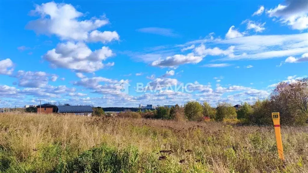 Участок в Владимирская область, Суздальский район, Новоалександровское ... - Фото 2