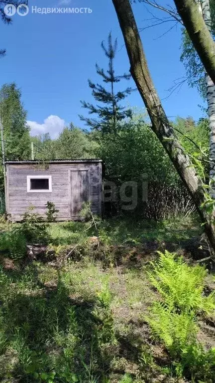 Участок в Ленинградская область, Всеволожское городское поселение, ... - Фото 1