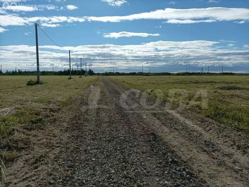 Участок в Тюменский район, деревня Марай (10 м) - Фото 0