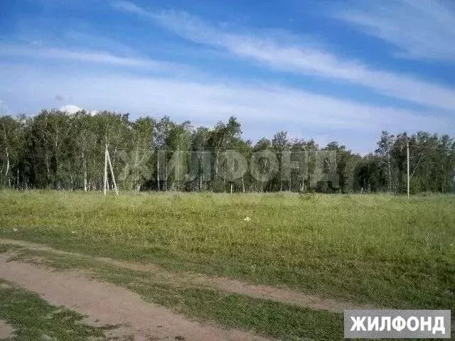 Участок 9,1 сот. (СНТ, ДНП) - Фото 0