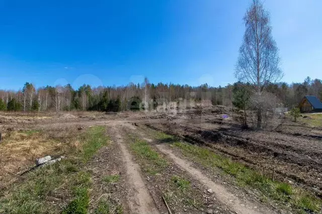 Участок 8 сот. (СНТ, ДНП) - Фото 0