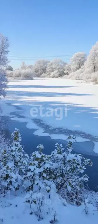 Участок в Новгородская область, Чудовский район, Трегубовское с/пос, ... - Фото 1