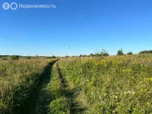 Участок в Ярославская область, Рыбинский муниципальный округ, деревня ... - Фото 1