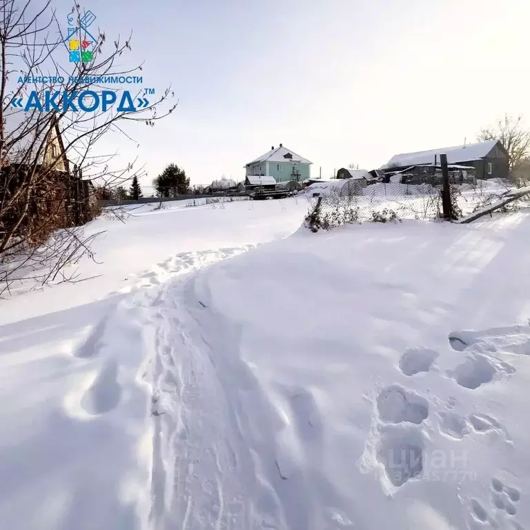 Участок в Алтайский край, Барнаул городской округ, с. Гоньба ул. ... - Фото 2