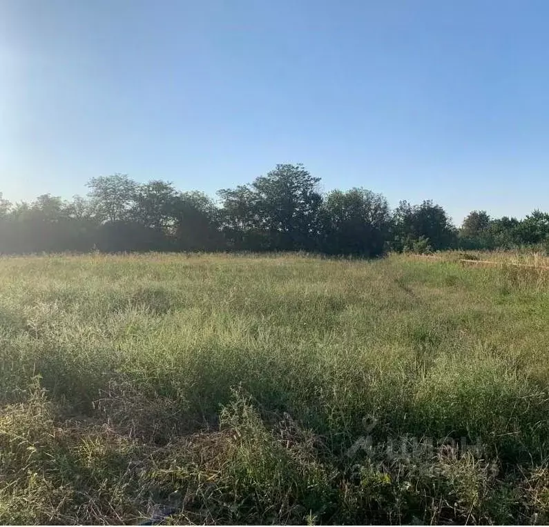 Участок в Краснодарский край, Новокубанск ул. Нева (7.88 сот.) - Фото 1