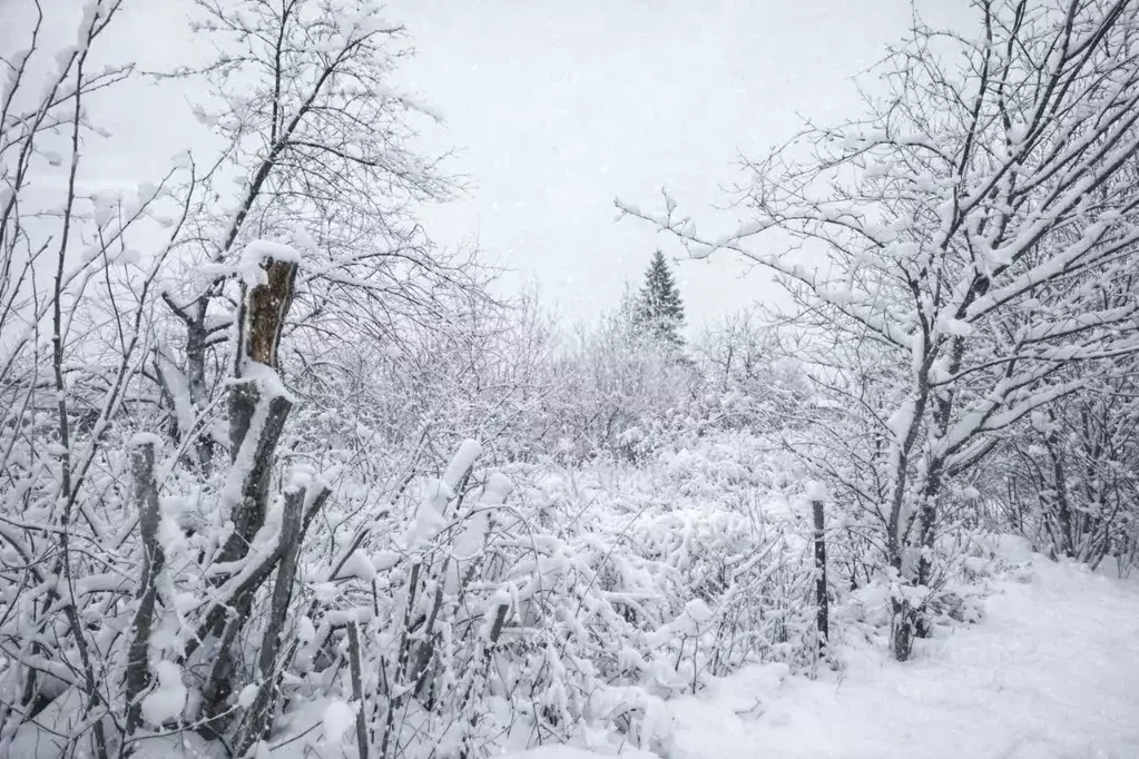 Участок в Тульская область, Тула ул. Горсовета (10.0 сот.) - Фото 2