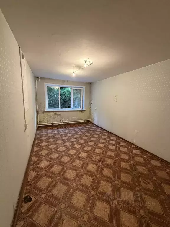 Помещение свободного назначения в Кемеровская область, Калтанский ... - Фото 1