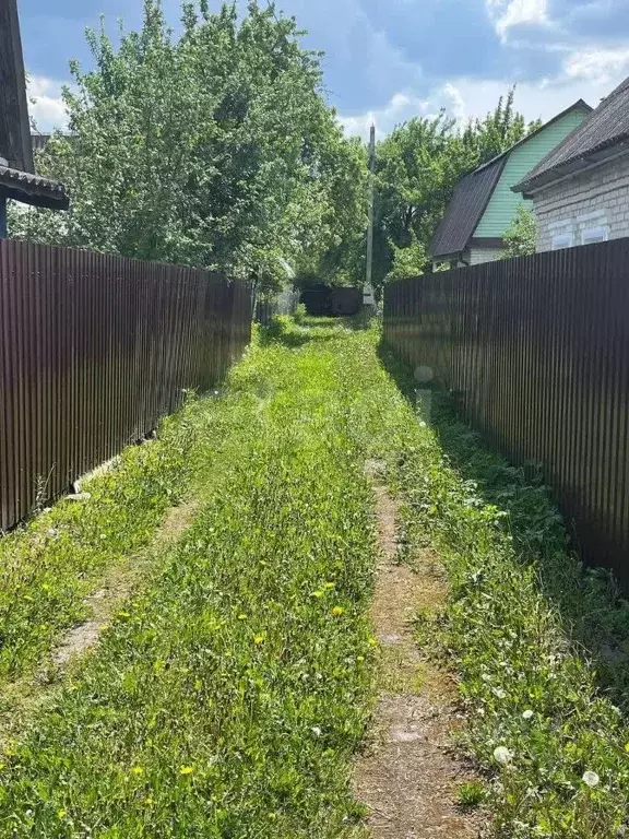 Участок в Брянская область, Почеп пер. 1-й Трубчевский (14.95 сот.) - Фото 2