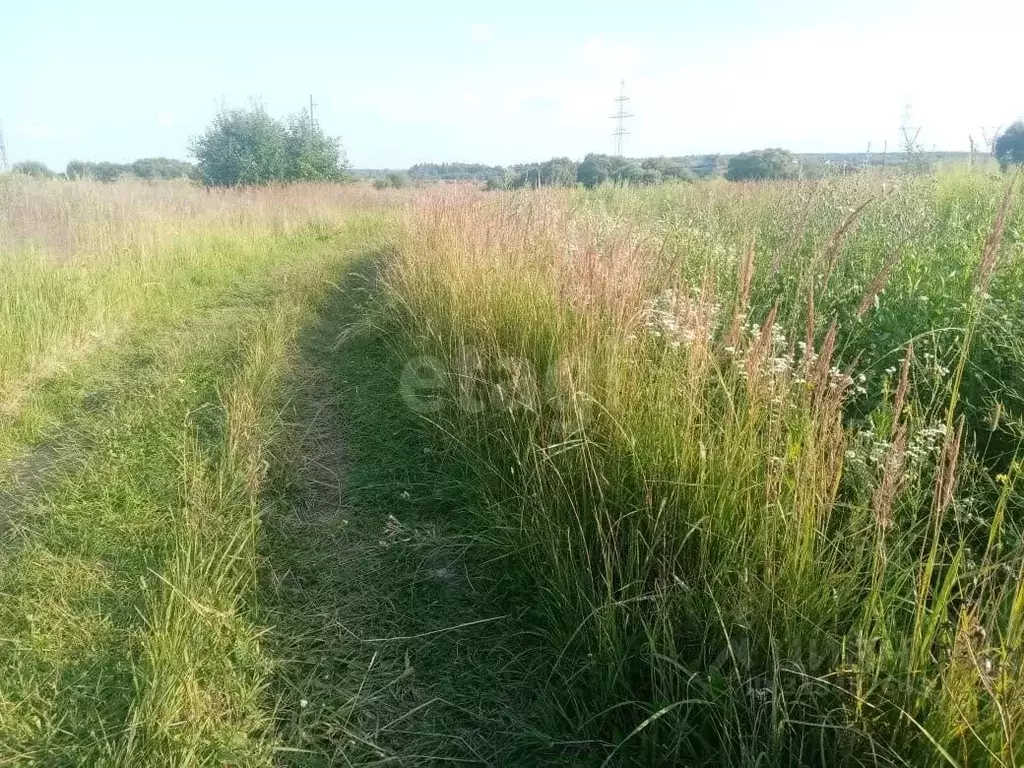Участок в Калужская область, Жиздринский муниципальный округ, Огорь ... - Фото 1
