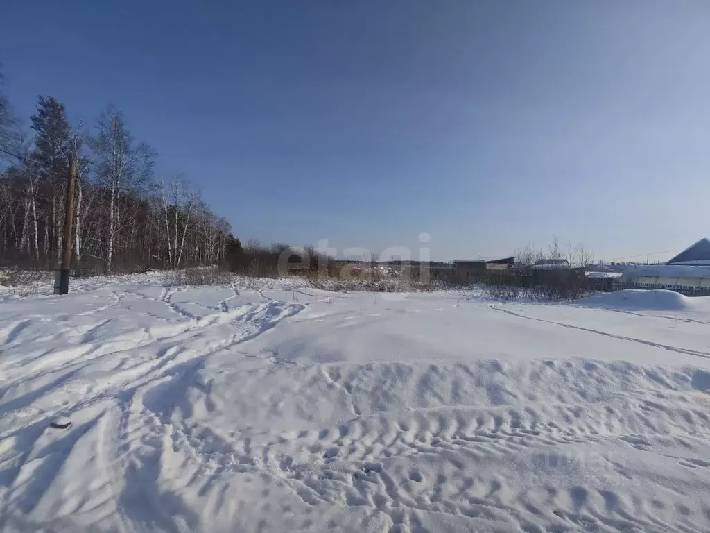 Участок в Курганская область, Курган Малиновка-8 СТ, ул. Лесная (5.5 ... - Фото 0