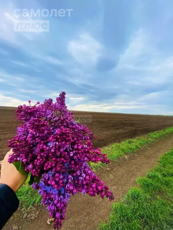 Участок в Оренбургская область, Оренбургский район, с. Ивановка ... - Фото 0