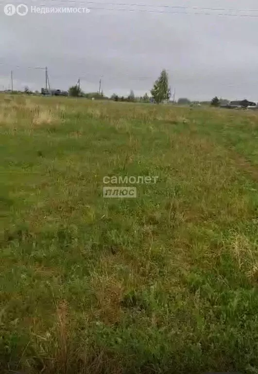 Участок в Челябинская область, село Аргаяш (560 м) - Фото 2