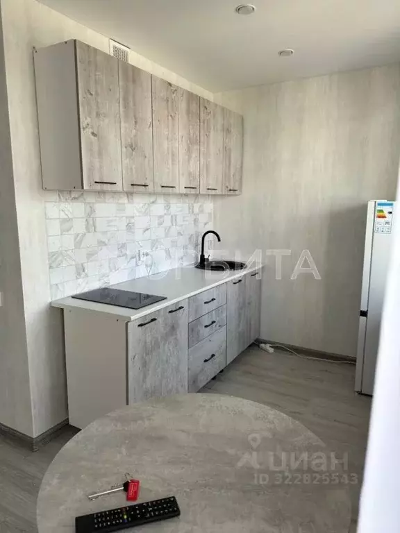 Студия Тюменская область, Тюменский муниципальный округ, д. Патрушева ... - Фото 0