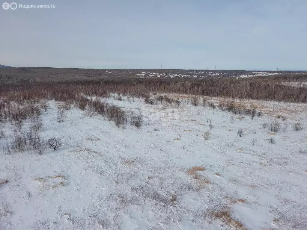 Участок в Хабаровский район, Осиновореченское сельское поселение, село ... - Фото 0