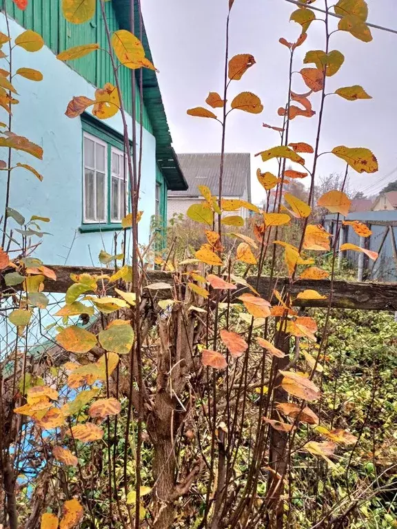 Дом в Тверская область, Кимры Парковая ул. (96 м) - Фото 2