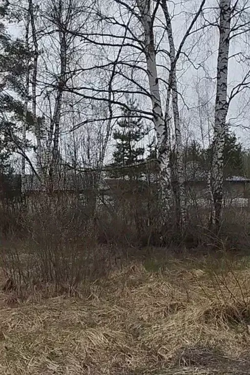 Участок в Московская область, Орехово-Зуевский городской округ, д. ... - Фото 1