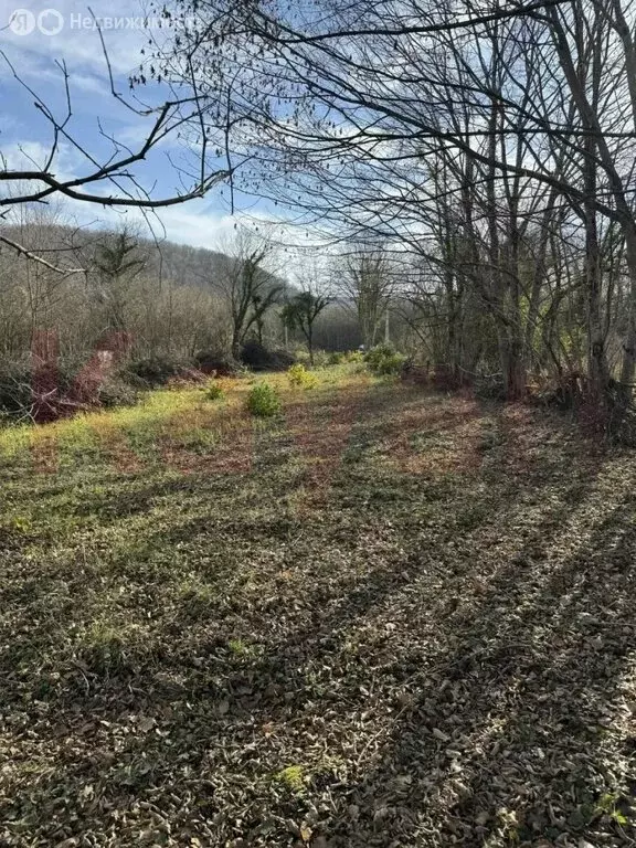 Участок в посёлок Новые Поляны, улица Кирова, 245 (15 м) - Фото 1