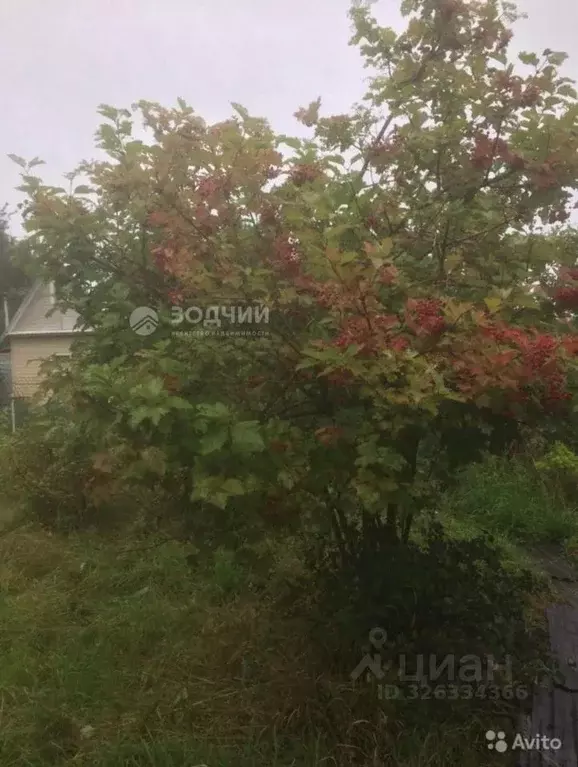 Дом в Чувашия, Чебоксары Московский просп. (25 м) - Фото 1