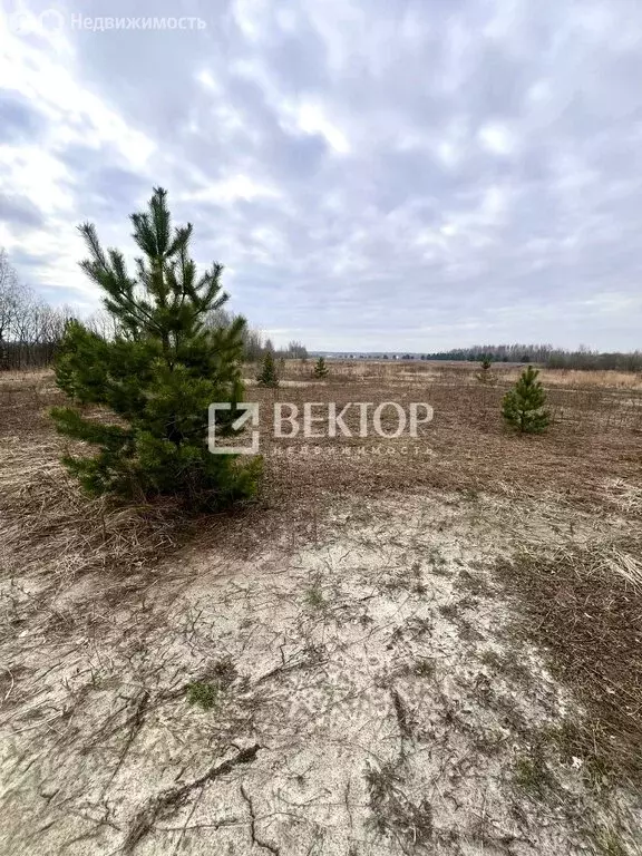 Участок в Кострома, Ясная улица (9 м) - Фото 1