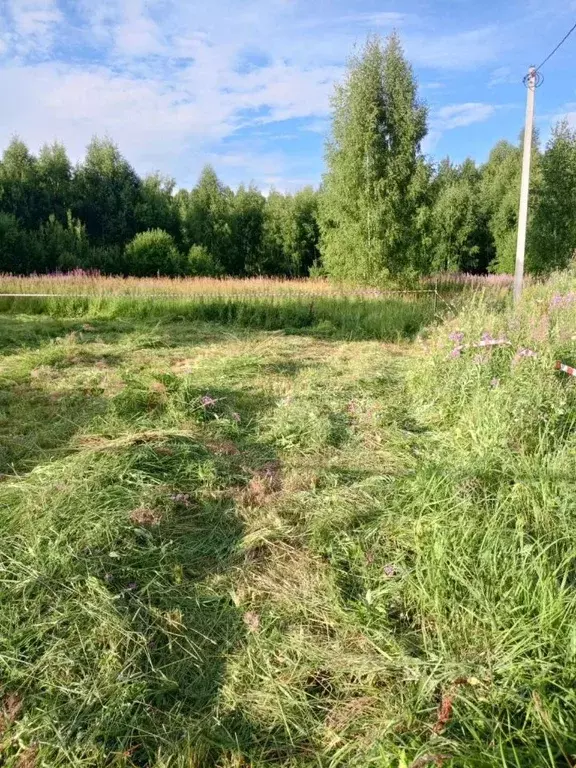 Участок в Ярославская область, Борисоглебский рп  (5.5 сот.) - Фото 1