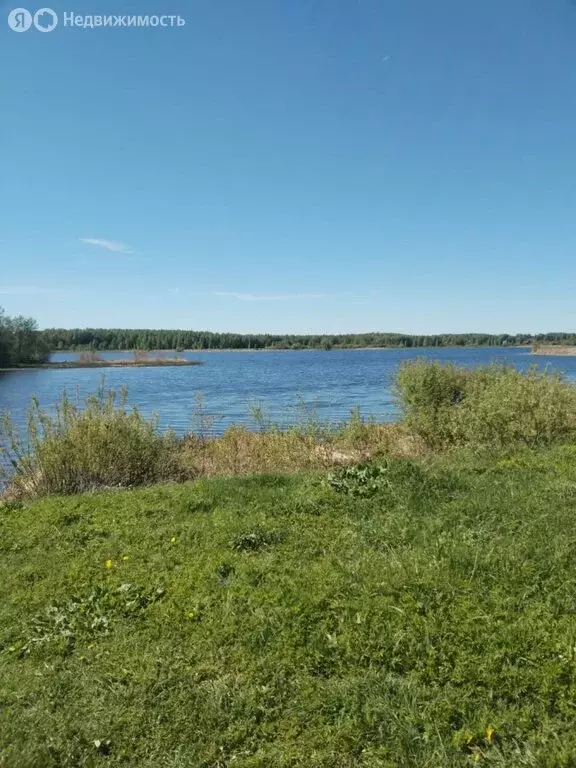 Участок в Ярославская область, Мышкинский муниципальный округ, деревня ... - Фото 1