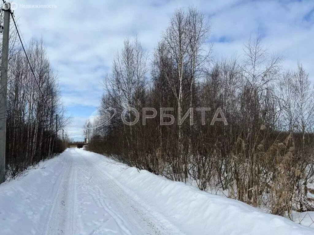 Участок в Тюмень, садовое товарищество Ясень (11 м) - Фото 1