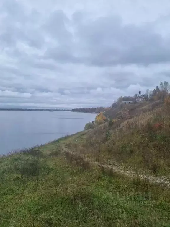 Участок в Ярославская область, Рыбинский муниципальный округ, д. ... - Фото 1