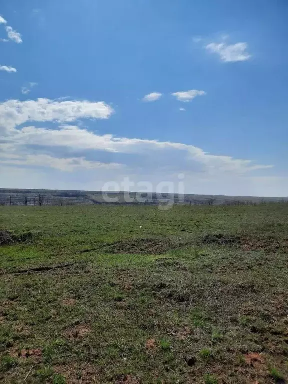 Участок в Волгоградская область, Городищенский район, Царицынское ... - Фото 0