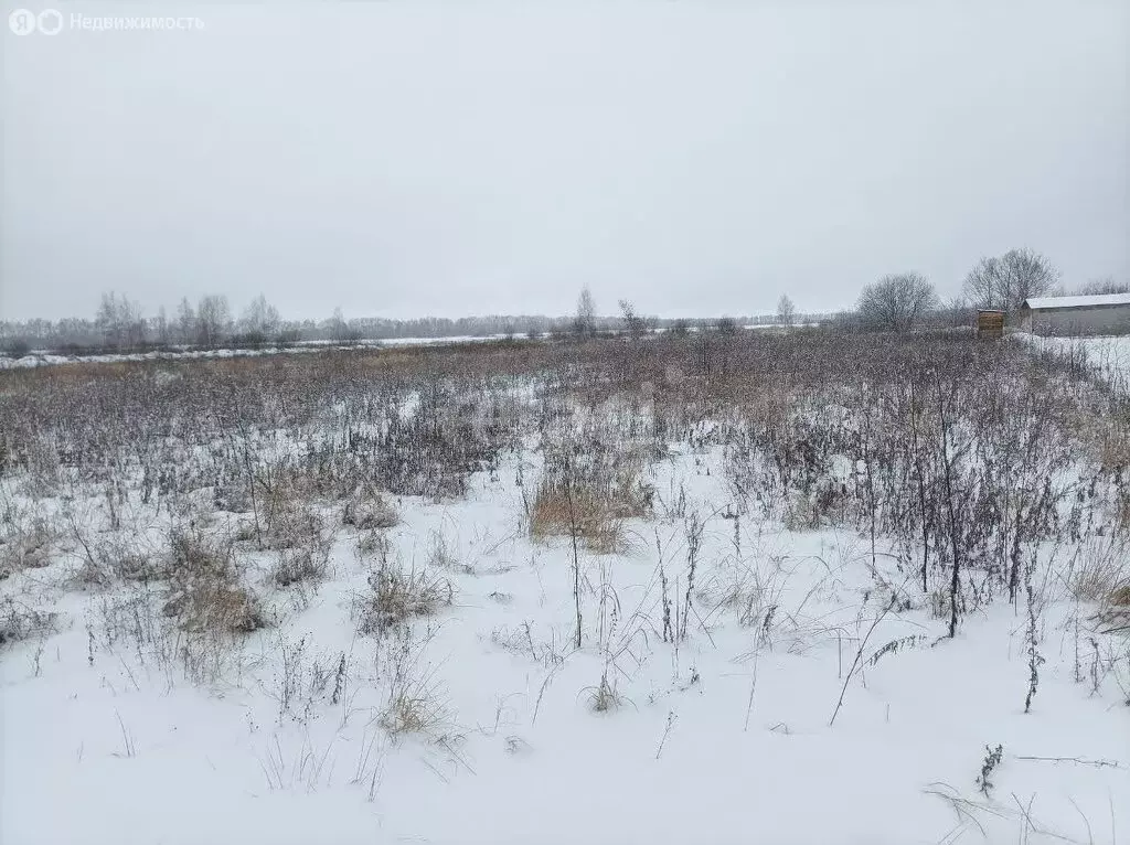 Участок в Республика Мордовия, городской округ Саранск, посёлок ... - Фото 1