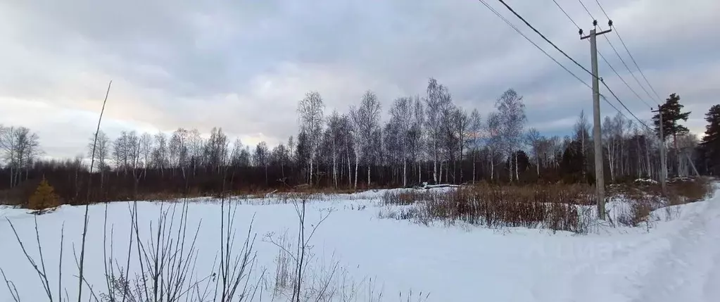 Участок в Свердловская область, Верхнее Дуброво пгт ул. Свободы (23.0 ... - Фото 2
