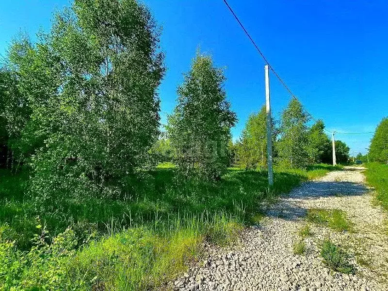 Участок в Калужская область, Малоярославецкий муниципальный округ, ... - Фото 2
