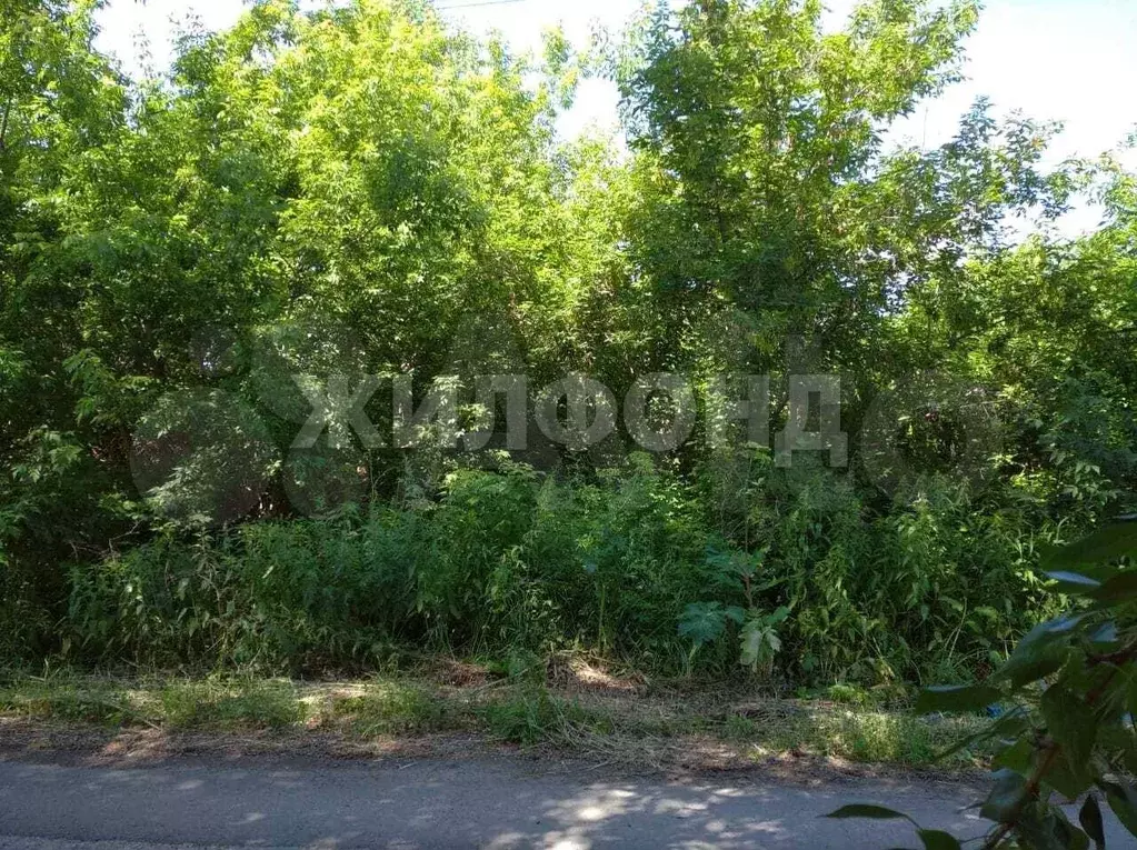 Участок 15 сот. (ИЖС) - Фото 1