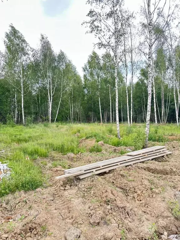 Участок 3,8 сот. (ИЖС) - Фото 1