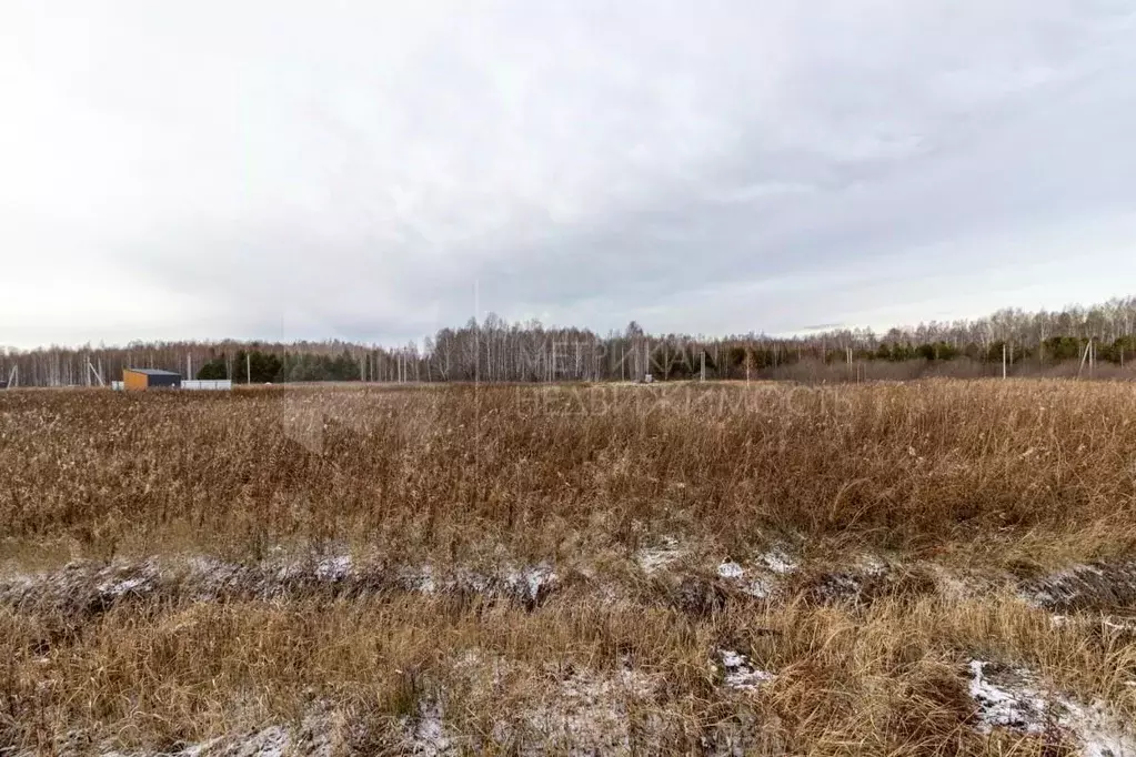 Участок в Тюменская область, Тюменский муниципальный округ, с. Кулига ... - Фото 1