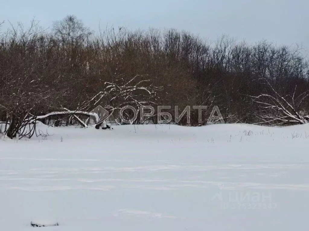 Участок в Тюменская область, Тюмень Рябинка-2 садовое товарищество, ... - Фото 2