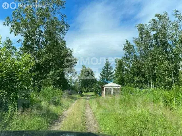 Участок в межселенные территории Хабаровского муниципального района ... - Фото 0