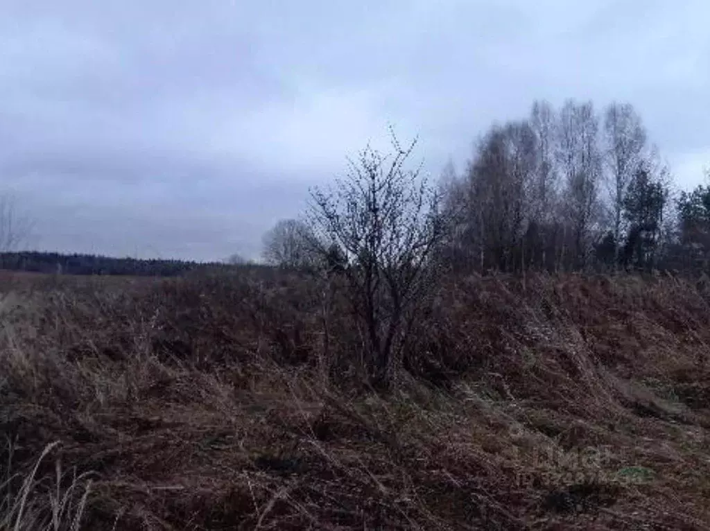 Участок в Московская область, Дмитровский муниципальный округ, д. ... - Фото 1