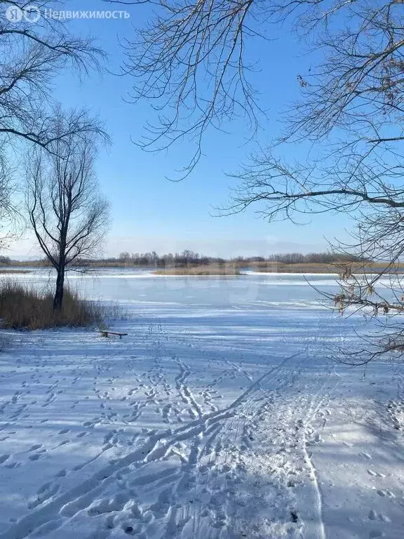 Дом в Энгельсский район, Терновское муниципальное образование, СНТ ... - Фото 0