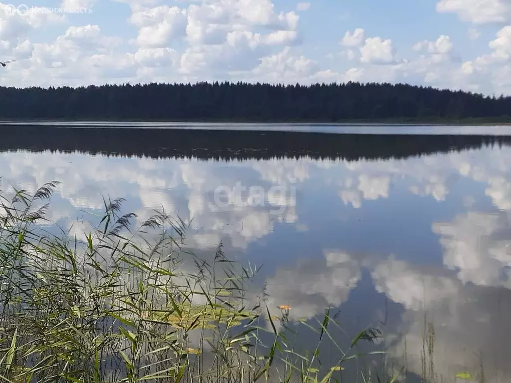 Участок в Тверская область, Бологое (812 м) - Фото 1