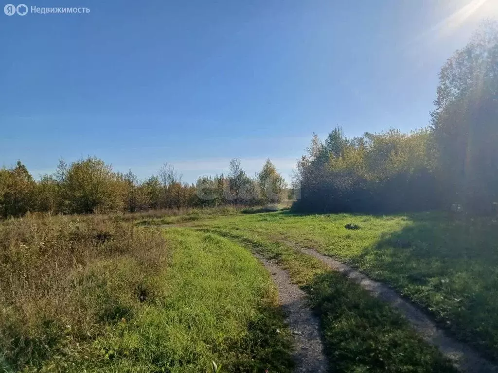 Участок в Задонский район, Рогожинский сельсовет, село Рогожино (15 м) - Фото 0