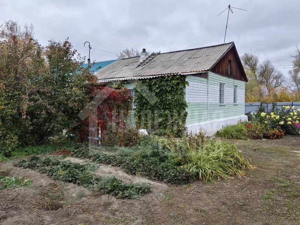 Дом в Алтайский край, Рубцовский район, Новоалександровский сельсовет, ... - Фото 2
