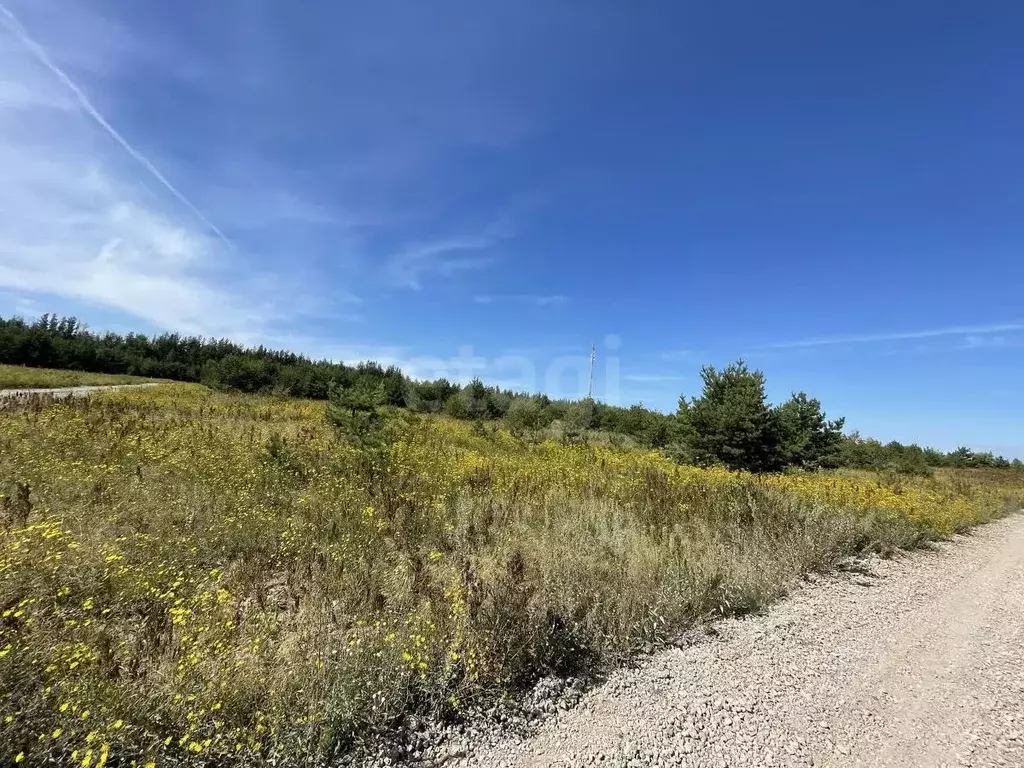 Участок в Татарстан, Казань Лесные Холмы жилмассив,  (10.0 сот.) - Фото 1