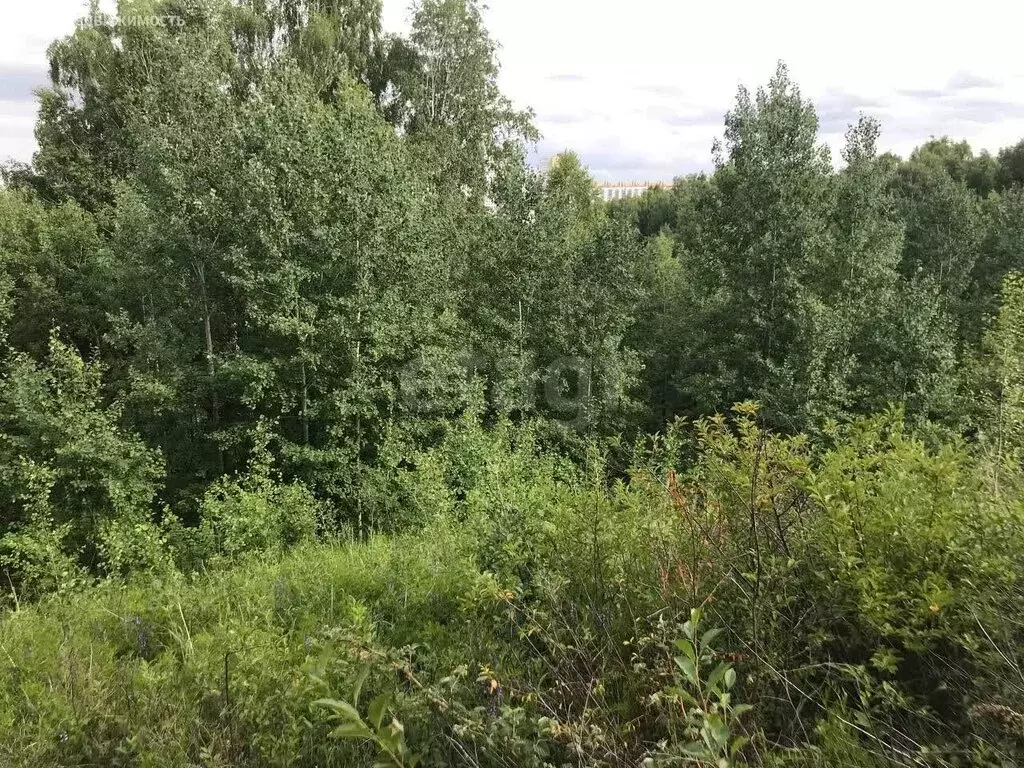 Участок в Станционный сельсовет, товарищество собственников ... - Фото 2