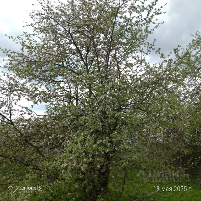 Участок в Ярославская область, Углич Часовщик-6 СНТ, 92 (4.26 сот.) - Фото 2