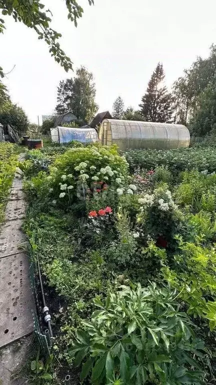 Дом в Новосибирская область, Новосибирск Спутник садовое товарищество, ... - Фото 1