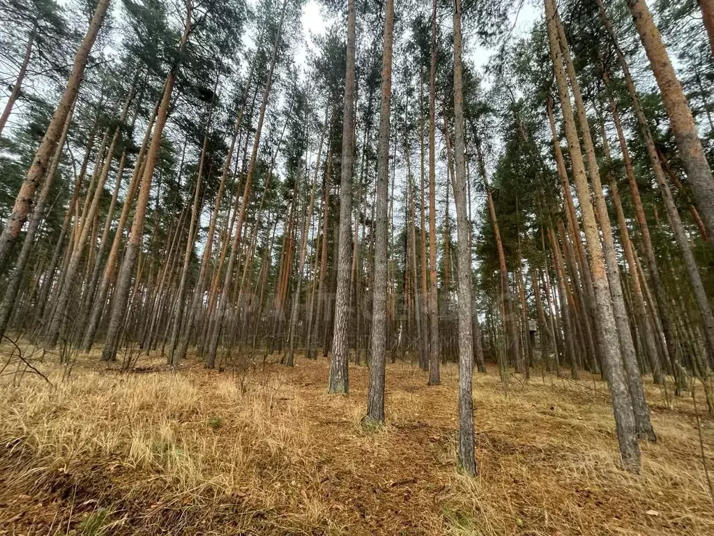 Участок в Тамбовская область, Тамбов Пригородный Лес мкр,  (14.57 ... - Фото 0