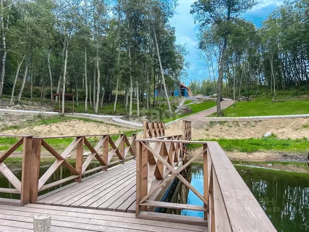 участок в ленинградская область, всеволожский район, токсовское . - Фото 1